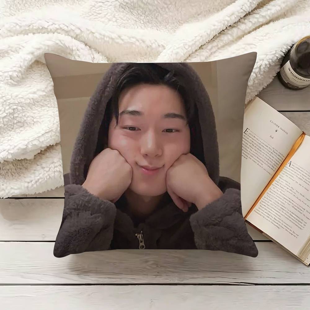 C-Choi S-San 枕カバー ソファ クッションカバー - Home Textiles Inc のレビューと価格